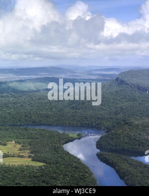 Vue aérienne de la forêt amazonienne. Banque D'Images