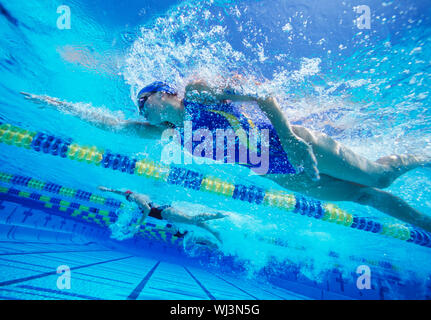 Participants professionnels féminins racing in pool Banque D'Images