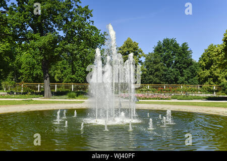 Berlin, Allemagne, bien, jet, jet, jardin, vert, vert arrangement arrangement, parc, Parc, roseraie, fontaine, Treptow, Treptow, parc de Treptow, Banque D'Images