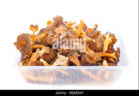 Golden chanterelles in front of white background Banque D'Images