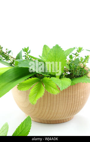 Les fines herbes dans un bol en bois on white Banque D'Images