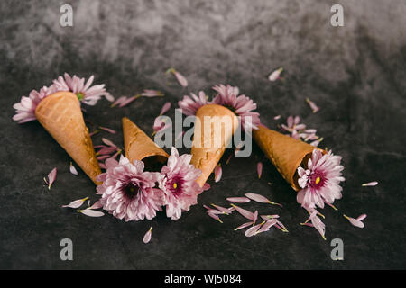 Fleurs roses en ice cream cones Banque D'Images