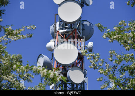 Voir, par antenne, antennes, l'architecture, à l'extérieur, à l'extérieur, à l'extérieur Vue, Vue de l'extérieur, arbres, arbre, arbres, Berlin, Allemagne, le smog électrique, télévision towe Banque D'Images