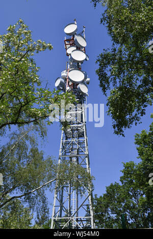 Voir, par antenne, antennes, l'architecture, à l'extérieur, à l'extérieur, à l'extérieur Vue, Vue de l'extérieur, arbres, arbre, arbres, Berlin, Allemagne, le smog électrique, télévision towe Banque D'Images