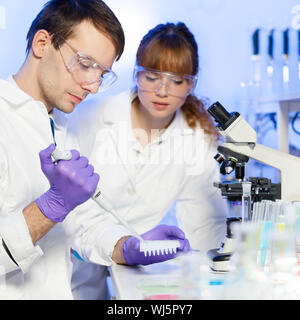 Chercheur de jeunes hommes dans le liquide de pipetage pour microplaques 96 puits (dans la police scientifique, microbiologie, biochimie, génétique, oncologie...) laboratoire. La FEMA Banque D'Images