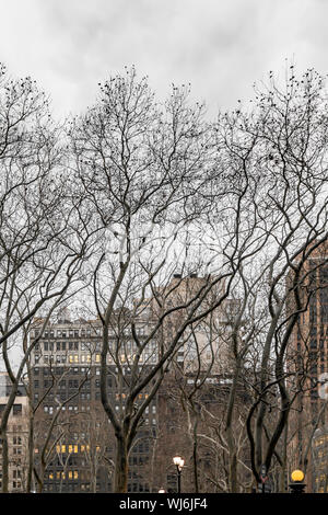 New York, NY, USA - Décembre 2018 - rues de Manhattan, vue sur l'horizon de Bryant Park, situé entre la Cinquième Avenue et l'Avenue des Amériques Banque D'Images