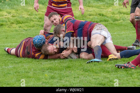 Personnes participant au rugby, Clitheroe, Lancashire. Banque D'Images