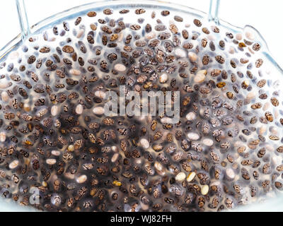 Voir ci-dessus de chia seeds absorbé l'eau et de mucilage fait fond close-up in glass Banque D'Images