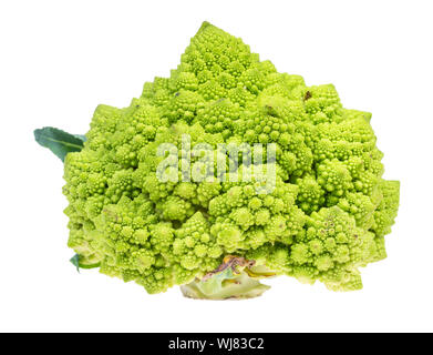 Vue latérale du Brocoli Chou Chou romanesco douce dentelle sur fond blanc Banque D'Images