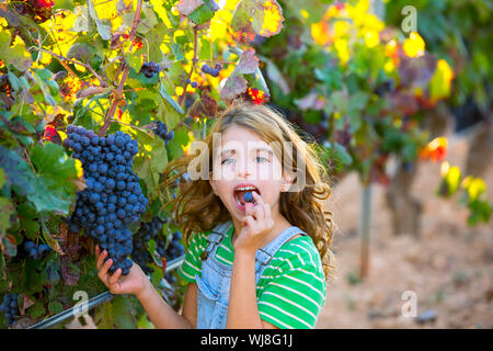 Farmer kid girl à vigne raisin manger les feuilles d'automne dans le champ de la Méditerranée Banque D'Images