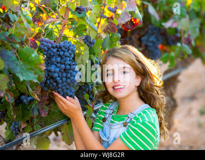 Farmer kid girl in vineyard harvest les feuilles d'automne dans le champ de la Méditerranée Banque D'Images