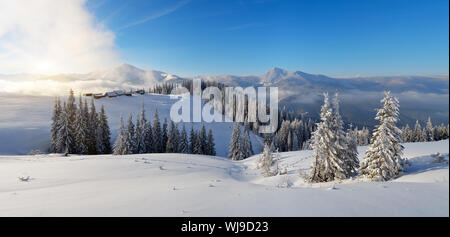 Panorama de l'hiver des paysages de montagne dans la matinée. Première lumière du soleil. Carpates, l'Ukraine, l'Europe Banque D'Images