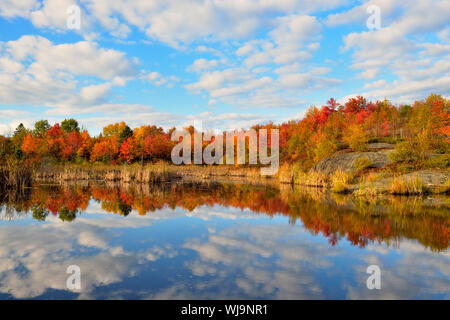 Automne couleur reflétée dans un étang de castors, Grand Sudbury, Ontario, Canada Banque D'Images