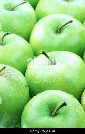 La pomme verte fraîchement lavés soigneusement alignés. Banque D'Images