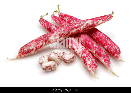 Haricots frais isolé sur fond blanc Banque D'Images