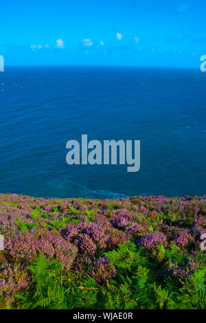 Point de Brandon, péninsule de Dingle, Irlande Banque D'Images