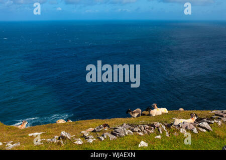Point de Brandon, péninsule de Dingle, Irlande Banque D'Images