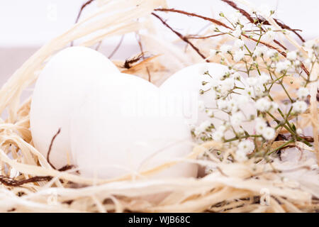 Trois oeufs de Pâques non décoré blanc ordinaire nichée dans un nid de paille avec une délicate de pulvérisation dainty fleurs souffle Babys pour célébrer le printemps et th Banque D'Images