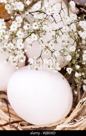 Trois oeufs de Pâques non décoré blanc ordinaire nichée dans un nid de paille avec une délicate de pulvérisation dainty fleurs souffle Babys pour célébrer le printemps et th Banque D'Images