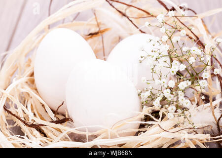 Trois oeufs de Pâques non décoré blanc ordinaire nichée dans un nid de paille avec une délicate de pulvérisation dainty fleurs souffle Babys pour célébrer le printemps et th Banque D'Images