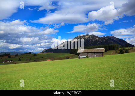 Huttes de bois sur green meadows dans Alpes, Allemagne Banque D'Images