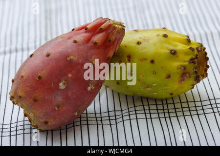 Vue rapprochée de paire d'un indien jaune rouge figues (également appelé figuier de Barbarie) Banque D'Images