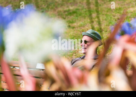 Un homme vu à travers le feuillage et fleurs. Banque D'Images