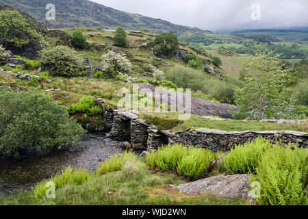 Dalle de pierre pont à travers la rivière Afon Lledr ruiné de règlement des MCG-fynhadog-uchaf sur les pentes de Moel Lledr. Plage de Prestatyn, Conwy, Pays de Galles, Royaume-Uni, Angleterre Banque D'Images