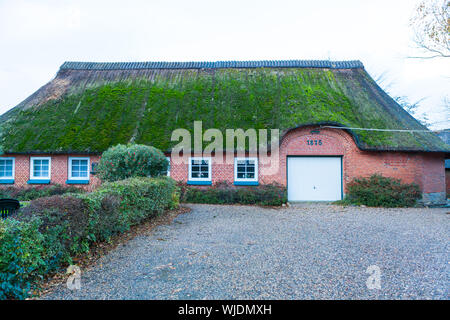 Vue de la façade d'une maison d'habitation à un étage avec un toit de chaume à la mousse verte en bas de la route à la porte de garage Banque D'Images