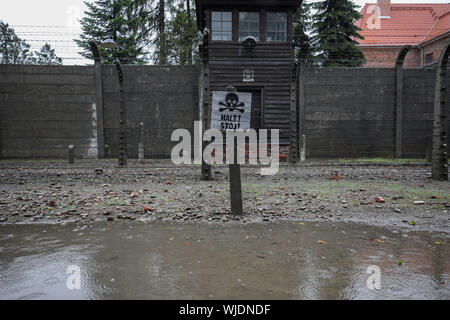 Auschwitz-Birkenau, en Pologne - 14 juin 2019 : Journée nationale du souvenir des victimes de l'allemand nazi de concentration et d'extermination camps Banque D'Images