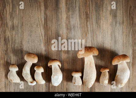 Sur fond de bois de champignons Boletus.Concept de délices gastronomiques,organiques.Télévision,mise à l'horizontale. Banque D'Images