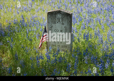 Pierre tombale d'un cavalier confédéré au milieu d'un domaine de bluebonnets dans l'ancien cimetière de Livingston Livingston dans l'Est du Texas Banque D'Images