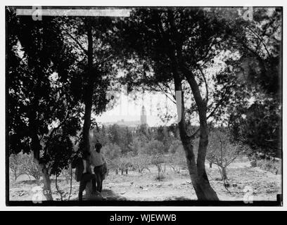 L'Université hébraïque et la visite de Lord Balfour. Scène dans le campus de l'université Banque D'Images