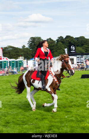 L'équitation membre de la substance des Étalons au travail de l'équipe d'équidés au Royal Show 2017 du Lancashire. Banque D'Images