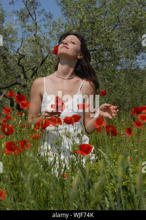 Belle jeune femme dans un champ de coquelicots Banque D'Images