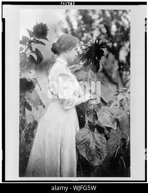 Helen Keller, trois-quarts portrait, debout dans jardin parmi les tournesols, faisant face à droite Banque D'Images