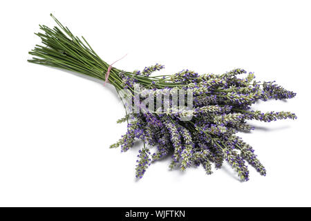 Bouquet de fleurs de lavande attaché isolé sur fond blanc Banque D'Images