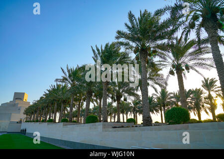 La Corniche de Doha, un sentier pédestre le long du bord du port ici avec de grands palmiers de Qatar et Musée d'Art Islamique à la fin. Banque D'Images