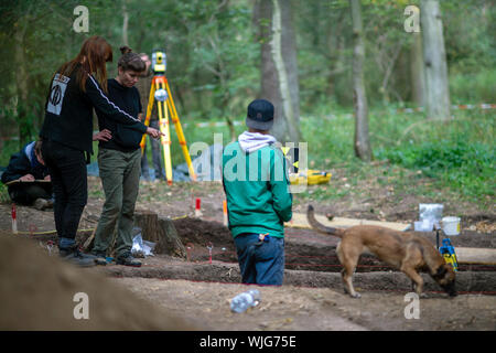 03 septembre 2019, la Saxe-Anhalt, Harzgerode : Le directeur d'excavation Anna Bartow (M), archéologue à l'université de Halle, et ses étudiants en archéologie sont à la recherche de vestiges du village disparu à l'excavation 'Wüstung Mapochana'. Le règlement couvre environ 11 hectares et a été fondée entre le 11ème et 12ème siècles. Le village a été abandonné dès le 15e siècle. Le village est l'un d'environ 100 dans la région du Harz, qui a disparu au Moyen Âge et sont maintenant appelés zones désertées. Les fouilles sont importants parce qu'il y a à peine été n'importe quel système. Banque D'Images