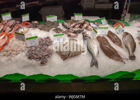 Assortiment de poissons frais affichés sur un lit de glace pilée, mentionnons l'encornet turbot saumon sole corbina différentes têtes de poissons à vendre sur l'affichage de la glace concassée fish Banque D'Images