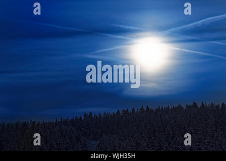 Dans la lumière du soleil magnifique ciel bleu profond au-dessus de la forêt de pins dans un hiver. Parc national des montagnes du Harz, Allemagne Banque D'Images