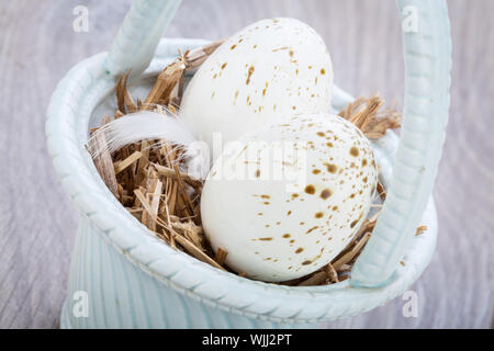 Trois teintes bleu naturel oeufs de Pâques dans un panier avec une seule plume d'oiseau pour une célébration saisonnière rustique symbolique de la résurrection du Christ Banque D'Images