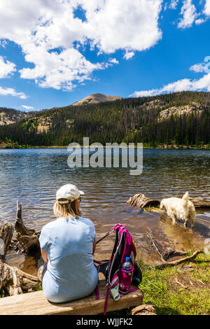 Female hiker montres couleur platine Golden Retriever dog nager dans le lac Supérieur ; 10 880 pieds ; près de fossé continental ; Montagnes rocheuses ; Col Banque D'Images