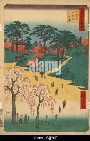 Vue Hiroshige de près de Ueno Hill comprend deux cerisiers pleureur gracieux au premier plan. Le site spécifique indiqué a été identifié comme Shūsō-dans, l'un des trois jardins temple bouddhiste désignées collectivement par l'Hanamidera ou fleur-affichage des temples ainsi que Jiin Rinsen ou Temple Gardens. Estampe de Hiroshige cent vues célèbres d'Edo (aujourd'hui Tokyo). 36,3 x 24,1 cm. Banque D'Images