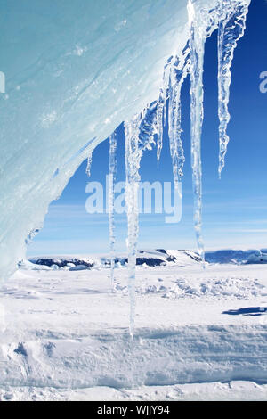 De Glaçons pendant un iceberg dans l'Antarctique Banque D'Images