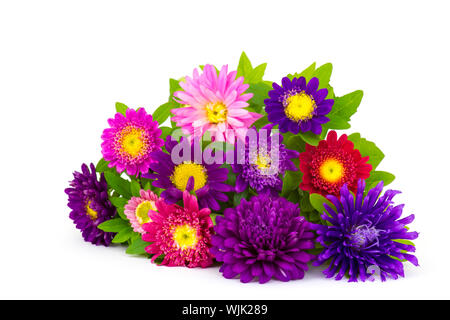 Bouquet de fleurs colorées sur fond blanc asters Banque D'Images