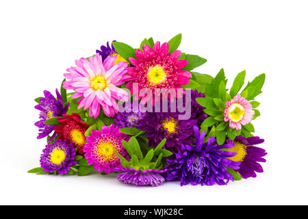 Bouquet de fleurs colorées sur fond blanc asters Banque D'Images