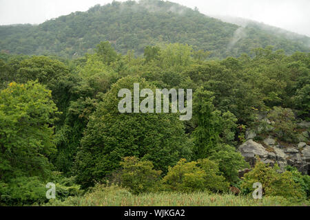 Parc d'état de Bear Mountain sur le côté ouest de la rivière Hudson sur un misty, jour de pluie en septembre. Le parc de 5 205 acres, est dans l'Hudson Highlands. Banque D'Images