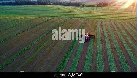 Vue aérienne de Massey Ferguson 1880 tracteur rouge de la tonte et la coupe du foin de luzerne au coucher du soleil sur le terrain à l'extérieur de Monroe, Wisconsin, États-Unis Banque D'Images