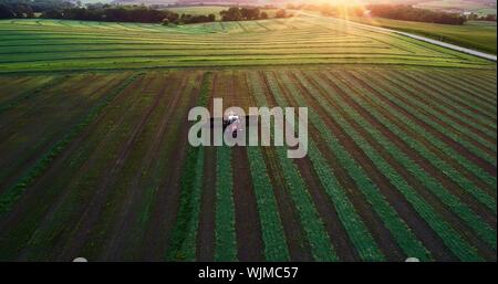 Vue aérienne de Massey Ferguson 1880 tracteur rouge de la tonte et la coupe du foin de luzerne au coucher du soleil sur le terrain à l'extérieur de Monroe, Wisconsin, États-Unis Banque D'Images